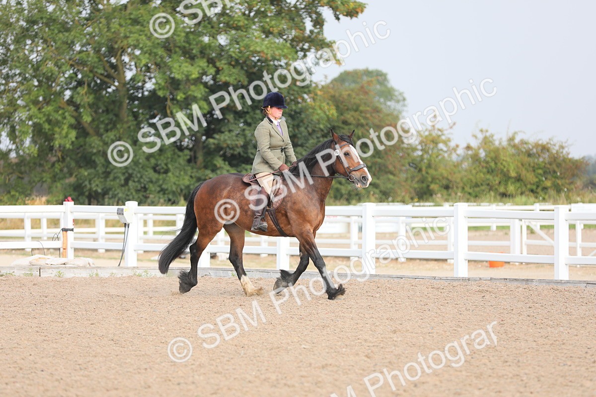 SBM_10870 - Class 304 Ridden Part Bred Horse/Pony