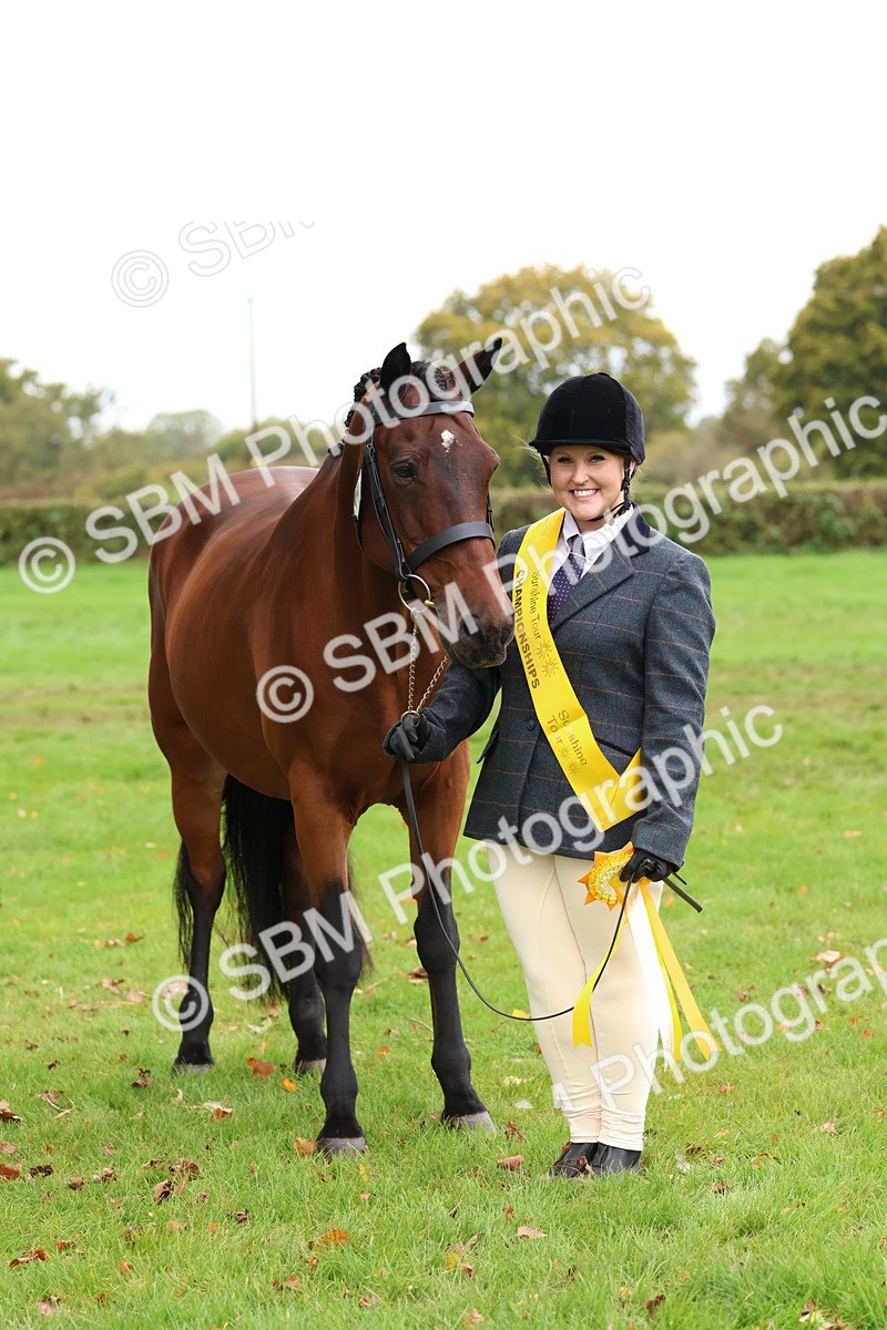 SBM_41748 - S26 - Mature Veteran In Hand