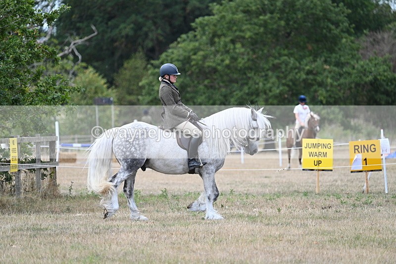 WJ7_4721 - Class 12 Ridden Cob