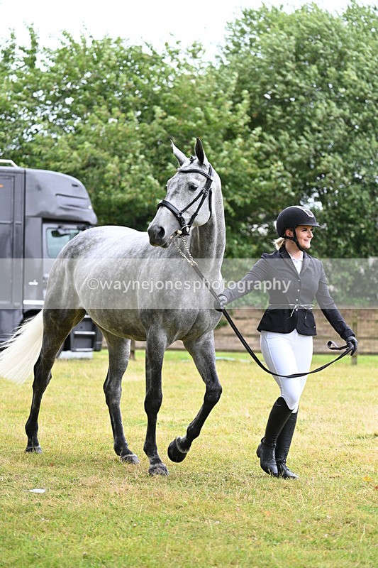 WJ7_6067 - Class 4a Prettiest Mare over 14hh