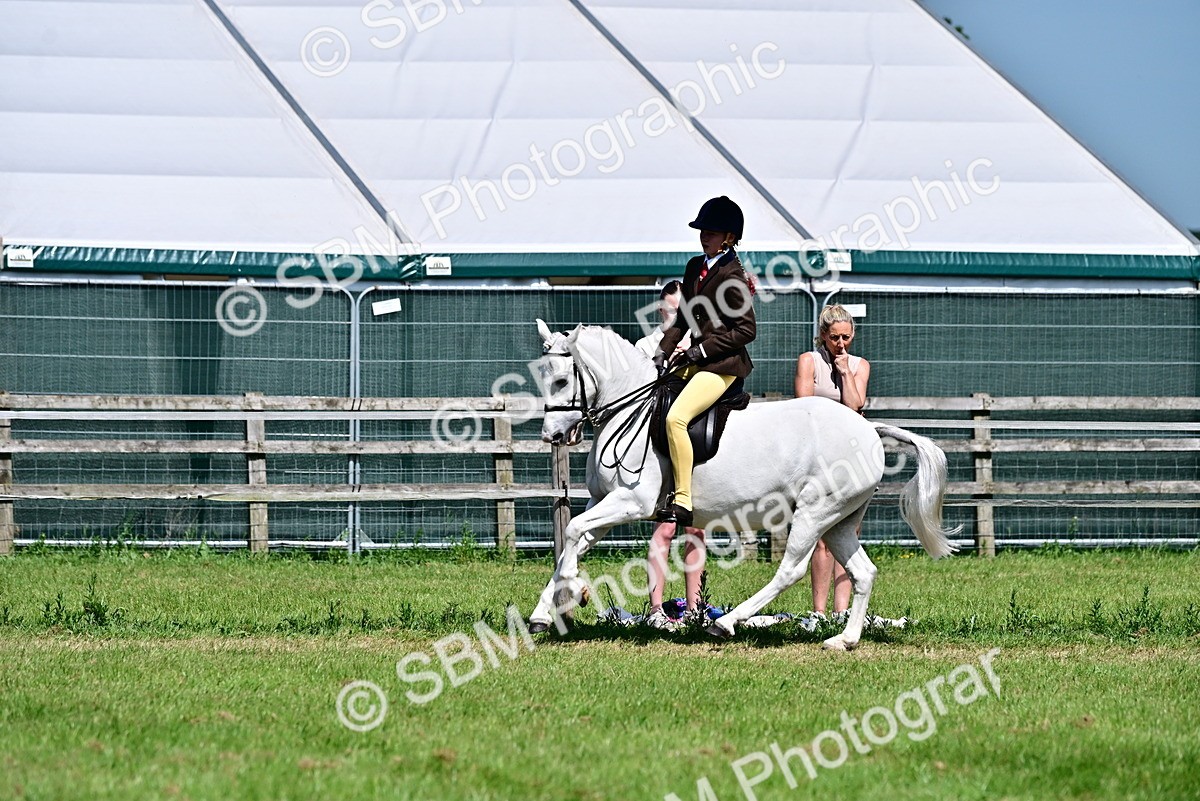 SBM_13903 - Class 95-97 - BSPS LHS Performance Ponies