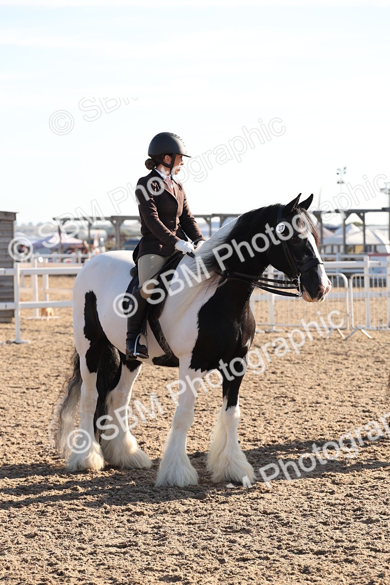 SBM_10853 - Class 202 - Best Turned Out - Ridden