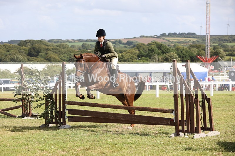 JPP_2554 - Class 20: Working Hunter 70cm