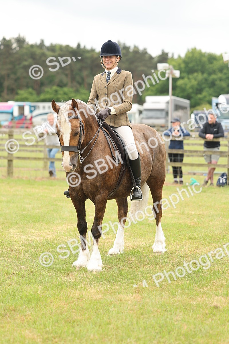 SBM_07249 - Class 76-77 - Ridden M&M Welsh Ponies