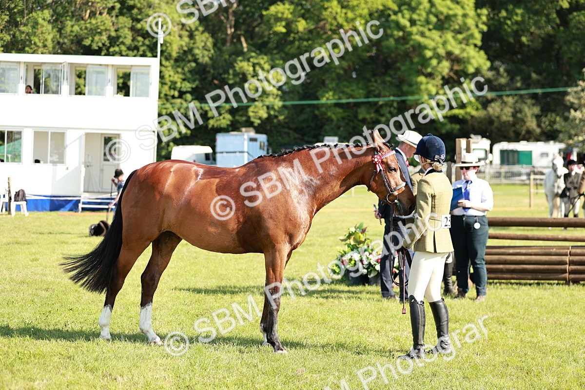 SBM_19301 - Class 115-116 - LIHS BSHA Rising Star Working Hunter & Show Horse