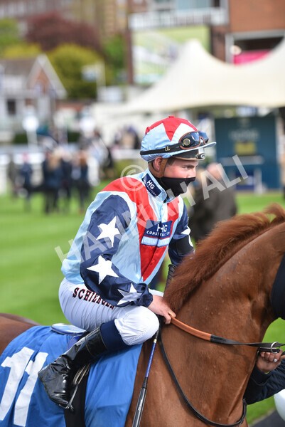 yr22052021r7-29 - Race 7 5.25pm Hudson Quarter York Palace Capital Stakes - Gentleman Amateur Riders Race