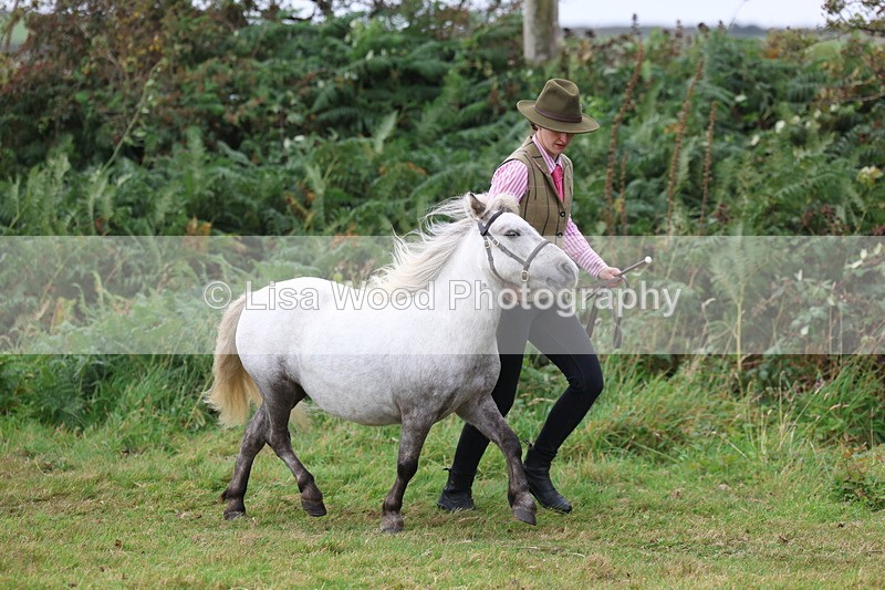 3E7A4389 - Class 15: Three Year Olds