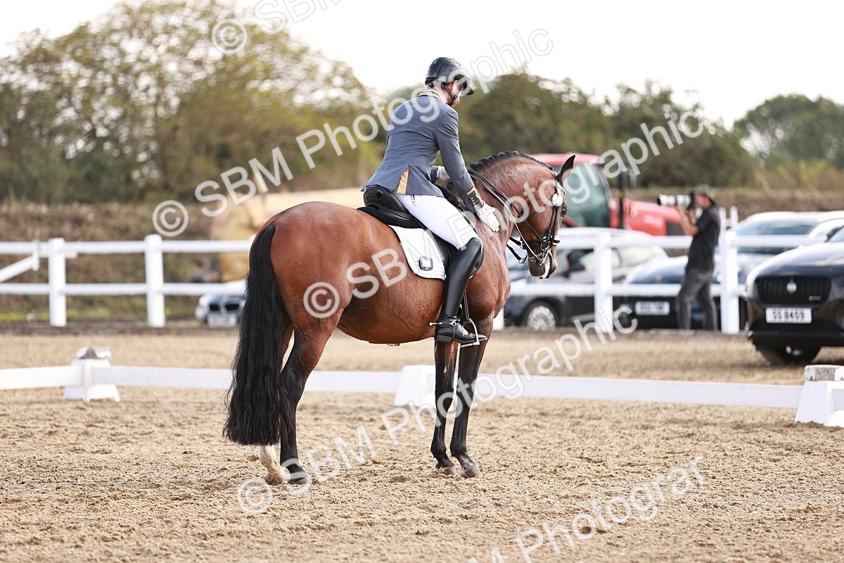 SBM_017613 - Class 11 - Advanced Medium 6