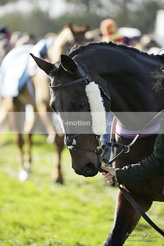 PtP 250921 0308 - Point-to-Point Badbury Rings Dorset 07/11/2021