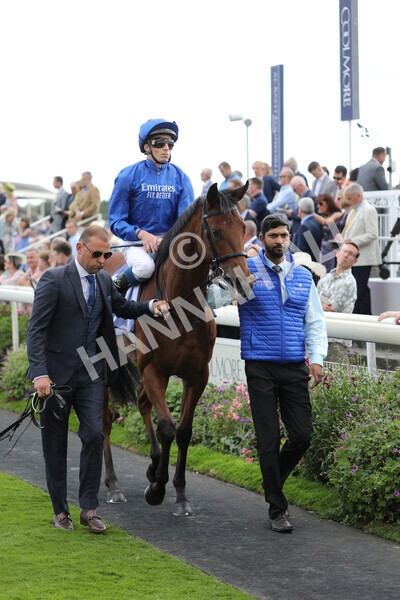 yr19082022r3-13 - Race 3 3.00pm Al Basti Equiworld Dubai Gimcrack Stakes