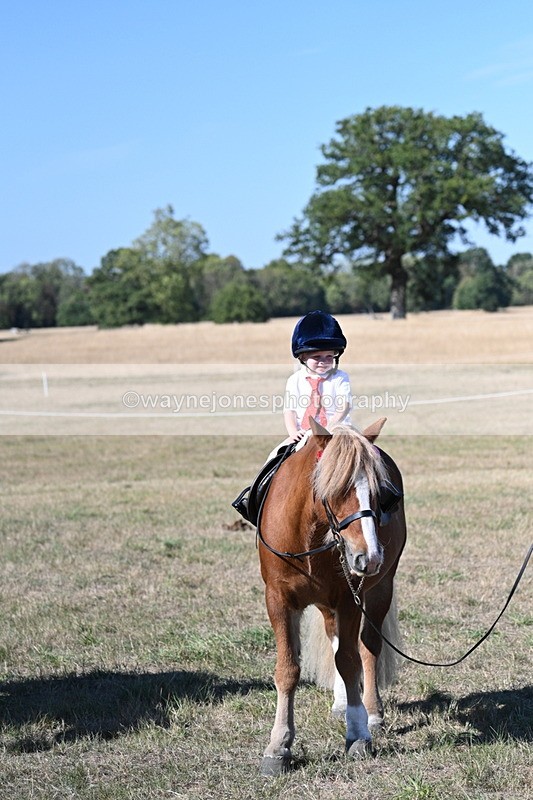 WJ7_2173 - Class 44 Child's Best Friend