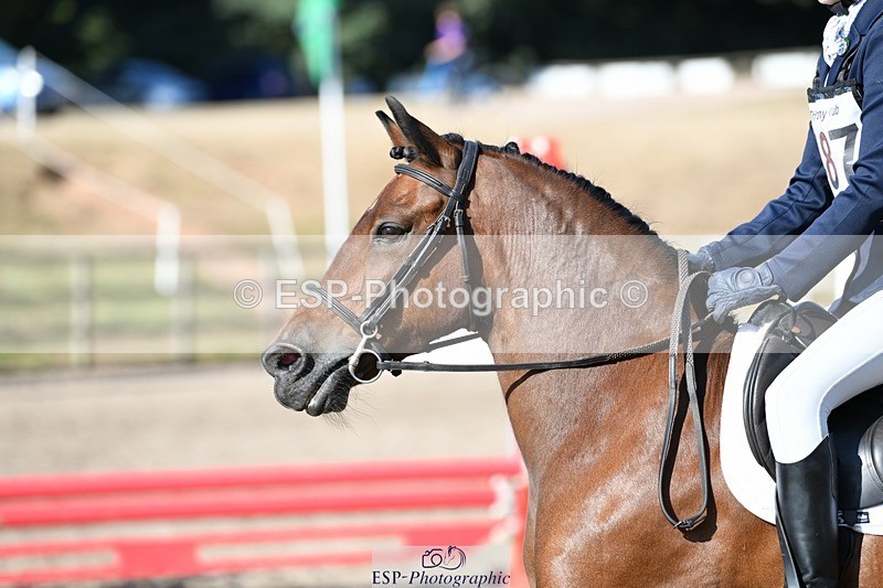 250822A-092527-19558 - NAF Round 1 9.10 to 10.20