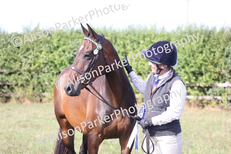 20260906-0725 - Class 22 - Ex Racehorse