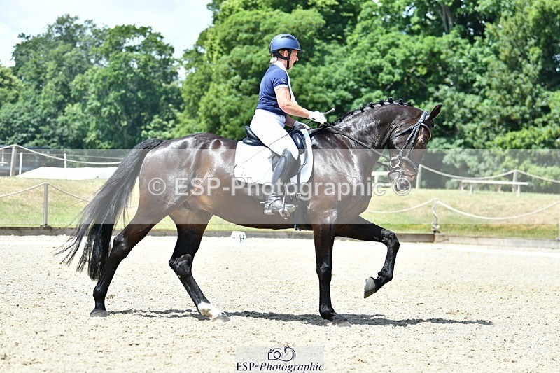 230623-131044-02334 - Cls 4 Novice 37Q 12.45 to End