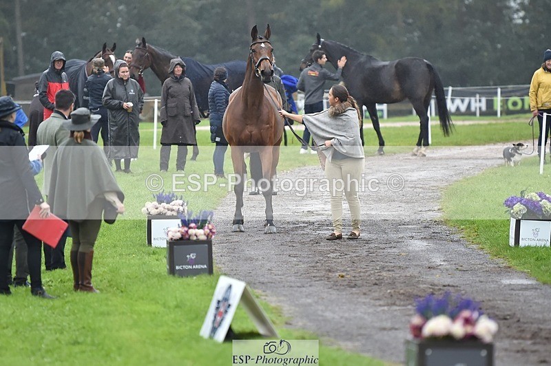 231018-121632-00176 - 025-LYRICAL.II-Harriet.Dickin-TrotUp