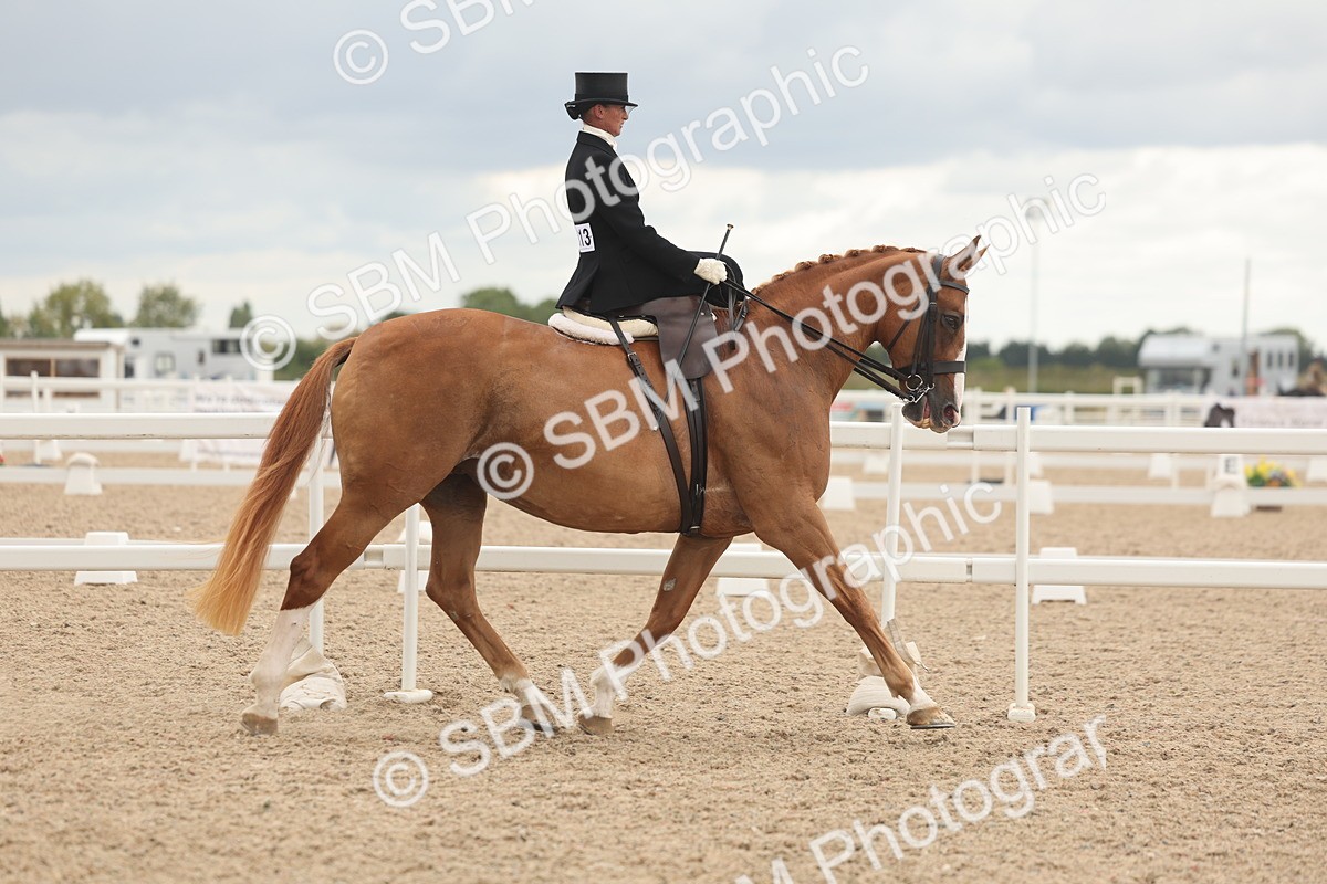 SBM_06406 - Class 23 - SSA - Classical