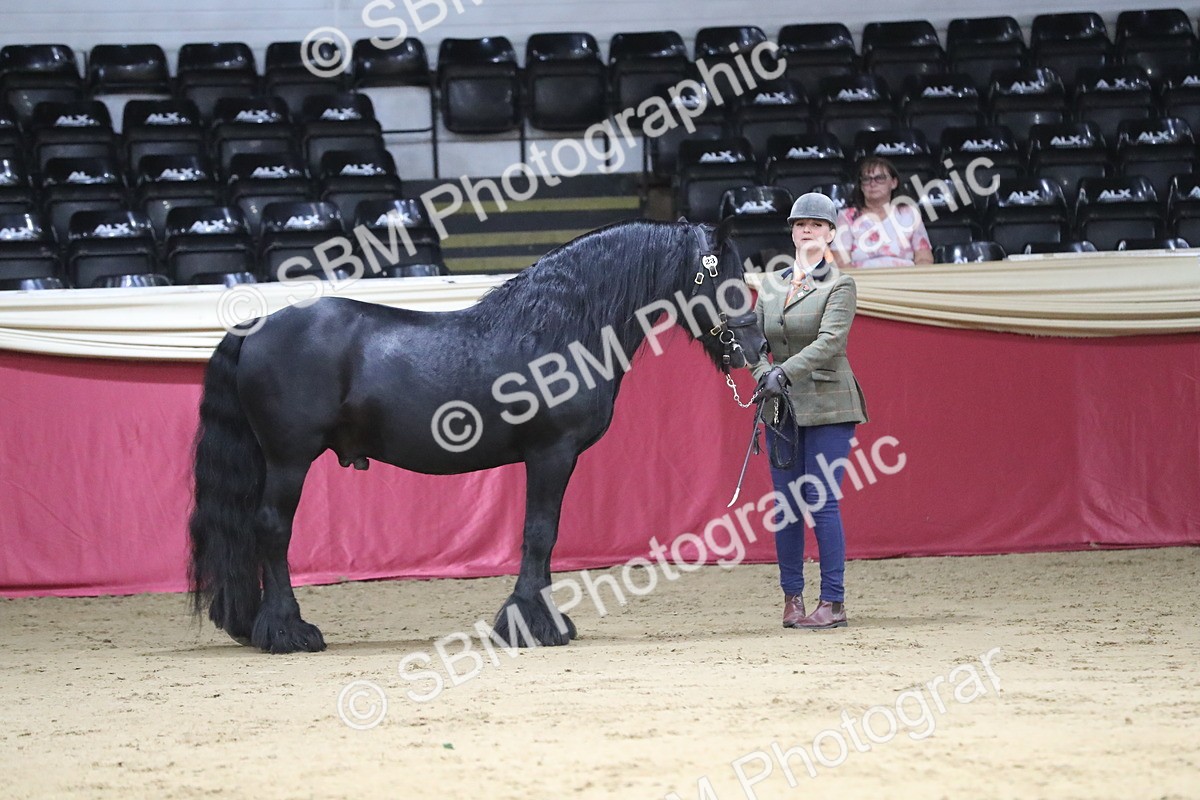 SBM_04994 - Class 8R- Regional -IH Veteran