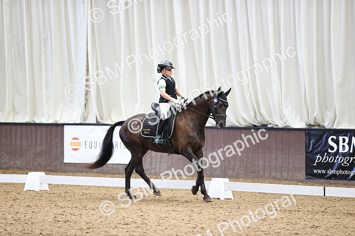 SBM_000809 - Novice 4 Warm Up