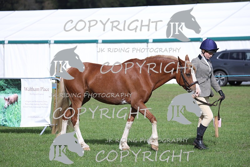 APP_2569 - Class 9 Veterans in hand