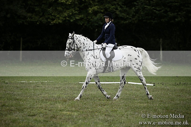 BVR080918 274 - BVRC Novice Dressage & CR 08/09/18