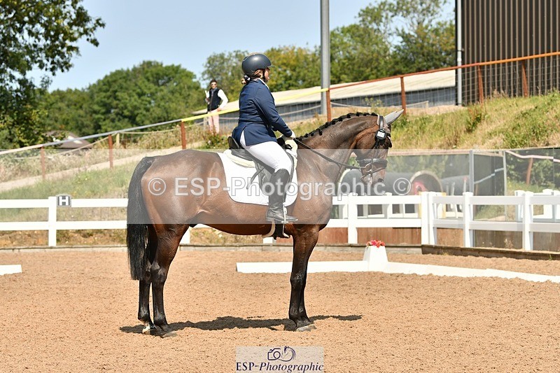 250817-134121-10043 - 033-Frankie.TorodeFirst.Impression.VI