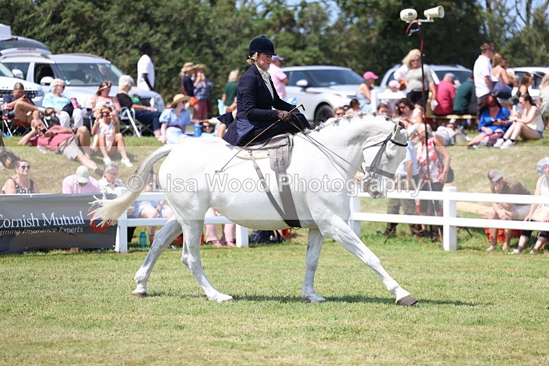 3E7A9763 - Class 13: Side Saddle