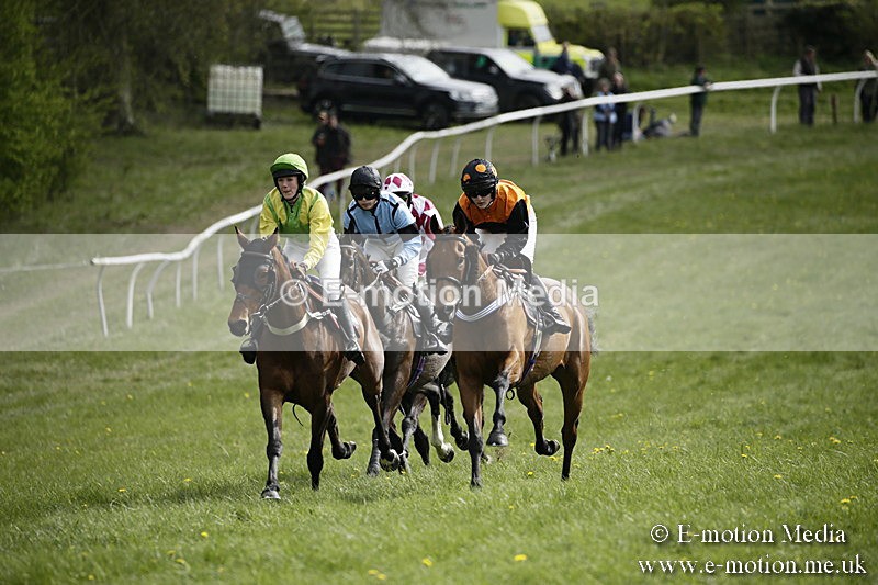 PtP 170417 284 - Old Berks Point-to-Point Lockinge 17/04/17