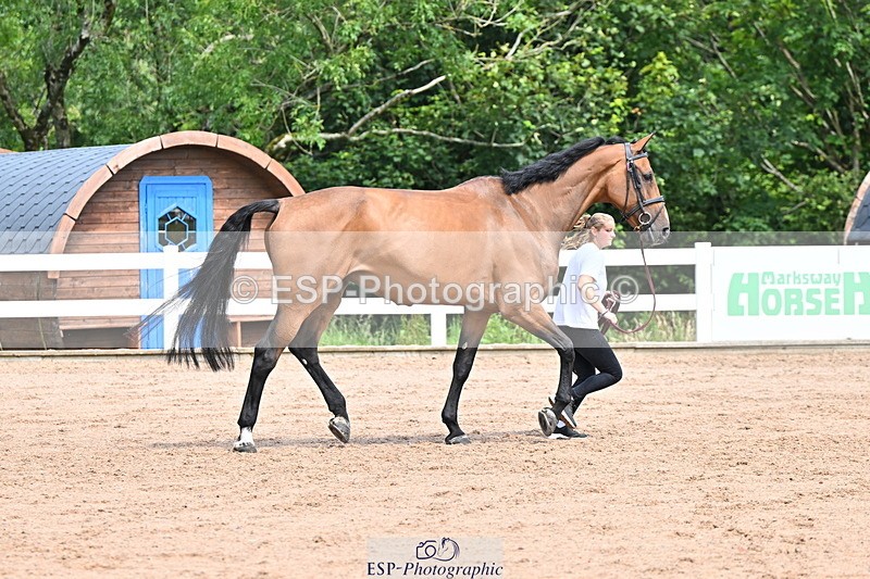 240718A-105247-01152 - Trot Up 12pm to 1pm