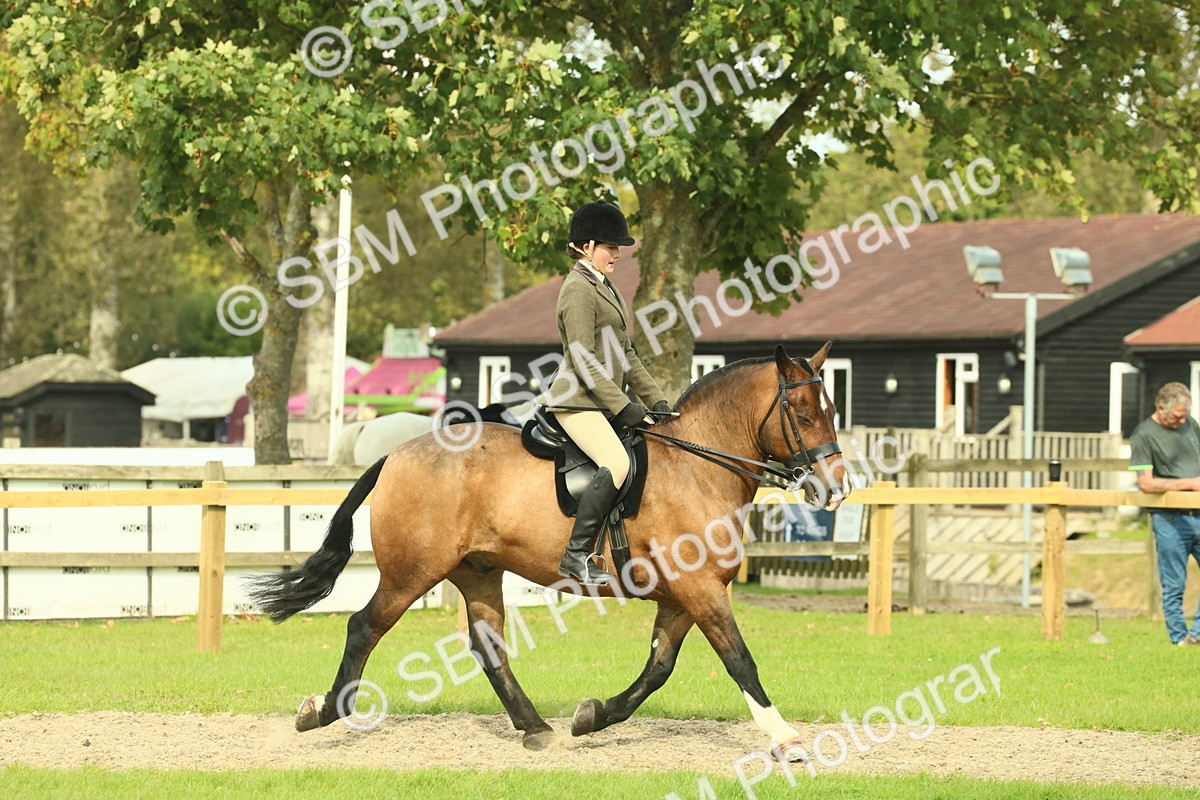 SBM_68198 - S58 - Mini Show Cob Ridden