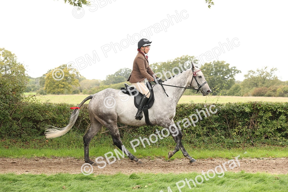 SBM_64210 - S65 - Riding Horse & Hack & Thoroughbred Ridden