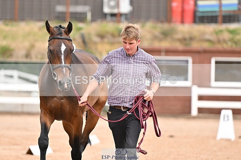 250716-154147-02130 - Trot Up 3.30 to 4.30