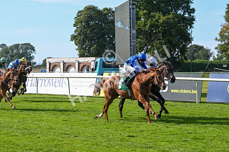 160924-Race 4-Watching Stars-2882 - Race 4