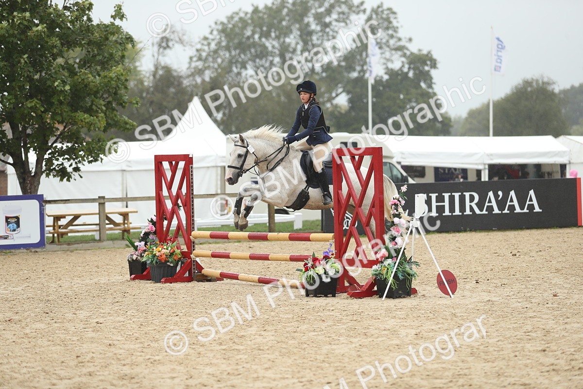 SBM_73946 - J16 - Junior Pony 75cm Championship