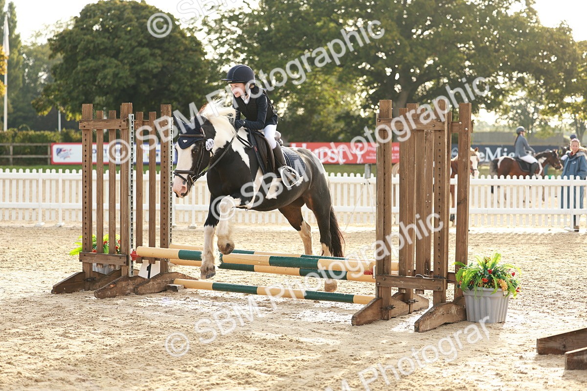 SBM_55414 - J11 - Junior Pony 50cm Championship