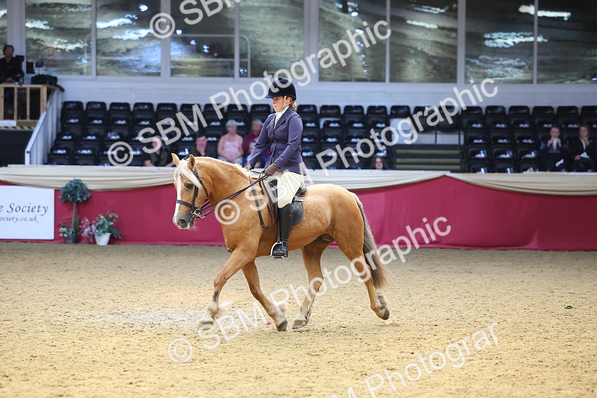 SBM_23528 - Class 904 - Supreme Final Ridden Diamond