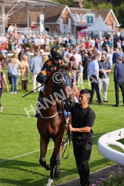 yr05092021r5-3 - Race 5 4.20pm Little Green Rascals Children's Nurseries Stakes