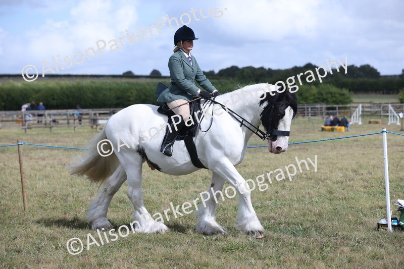 20250831-4179 - Class 20 - Ridden Coloured