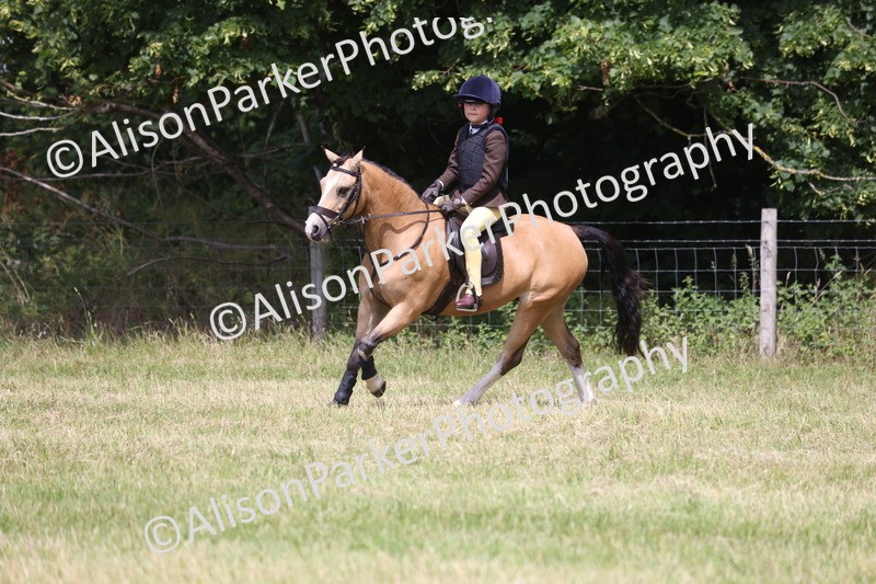 20260614-1907 - Class 21 - Novice Working Hunter Pony