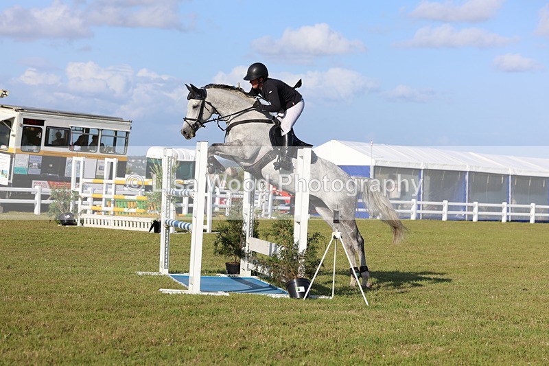 3E7A4496 - Class C: Showjumping Senior Foxhunter
