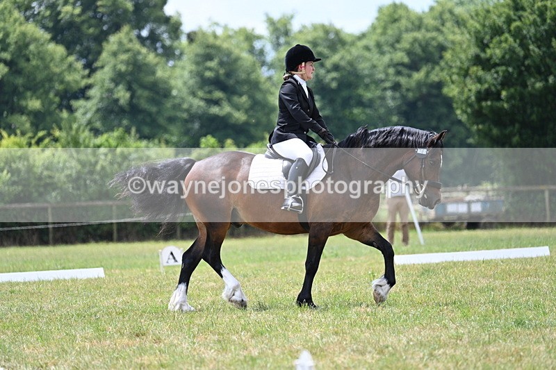 WJ7_5691 - Time 11:52 to 12:10