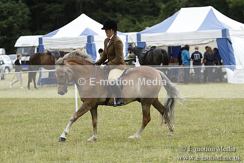 BVR160717-397 - Ring 3 BVRC Show 16/07/17