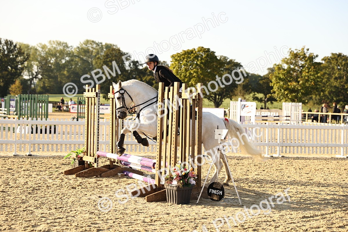 SBM_57211 - J11 - Junior Pony 50cm Championship