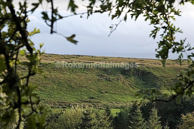 DSC07723 - SEPT 2020 STAYCATION