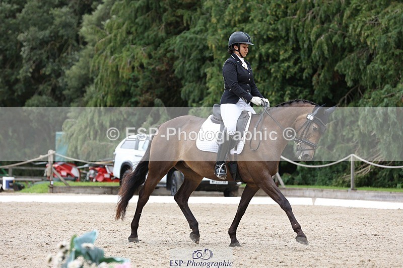 230812-143524-04445 - Cls 5 Novice Bronze 13.40 to 14.45 break