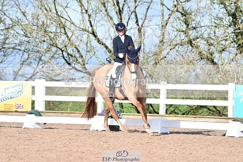 240218A-114412-06826 - 272-Beth.Bainbridge-Newton.Dreamcatcher