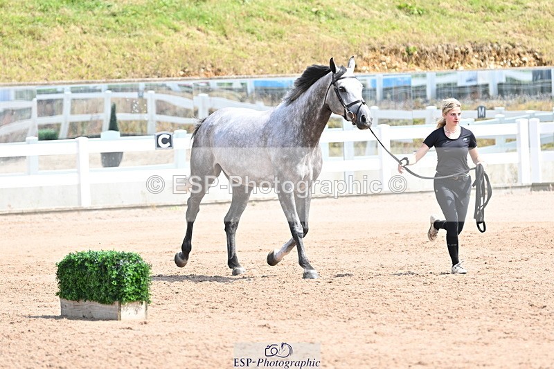 240717A-150905-02579 - Trot Up 3pm to 4pm