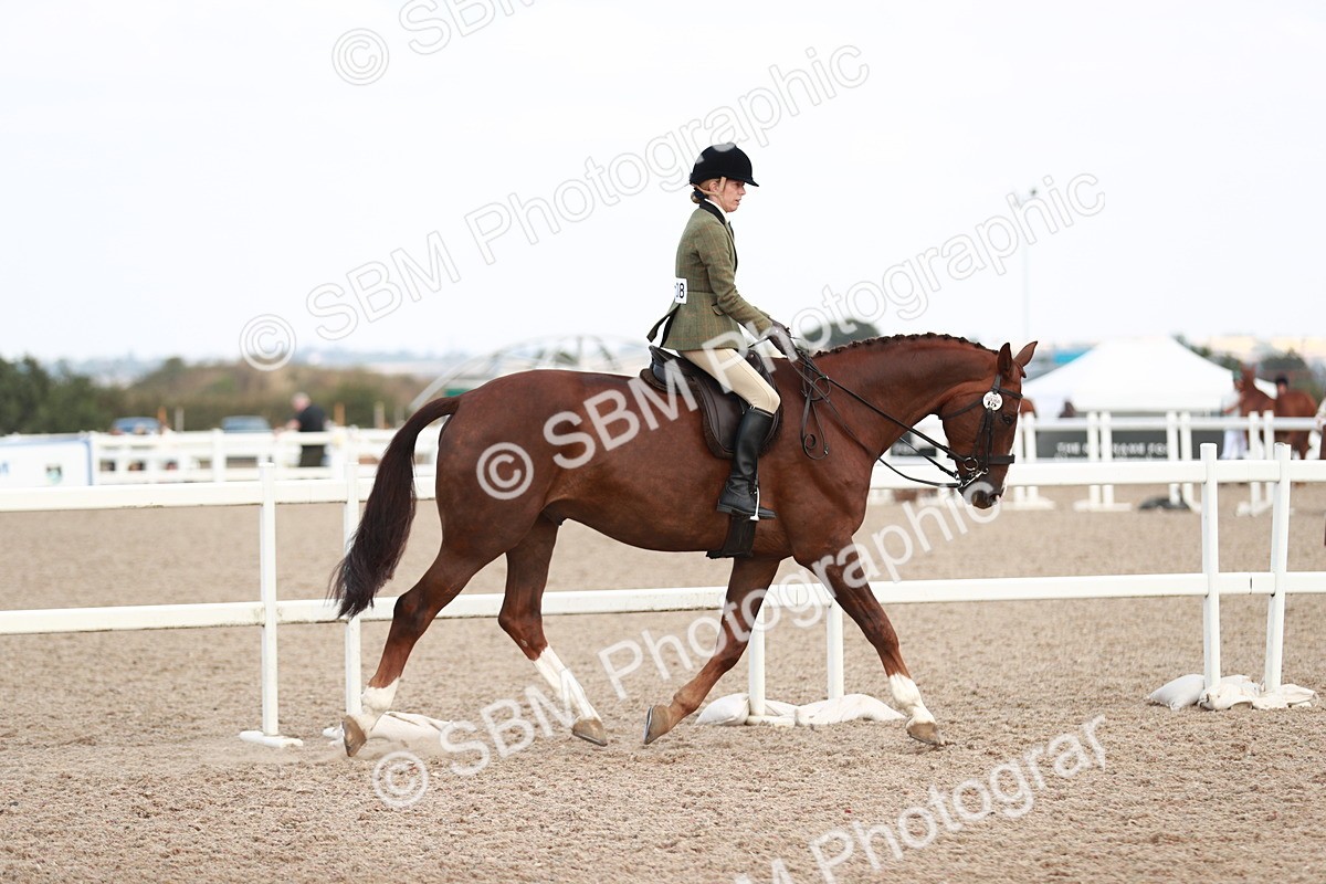 SBM_15486 - Class 213 Ridden Hunter -Large