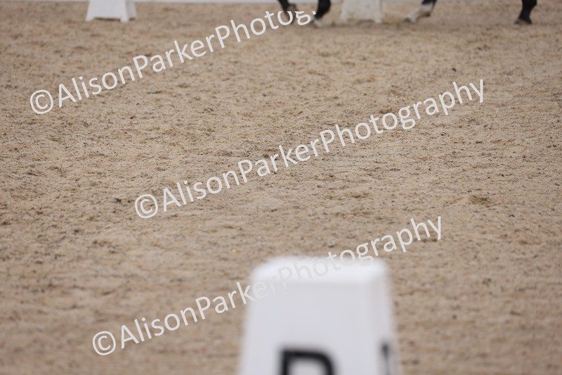 20250820-0481 - Class 13 - Prelim 4