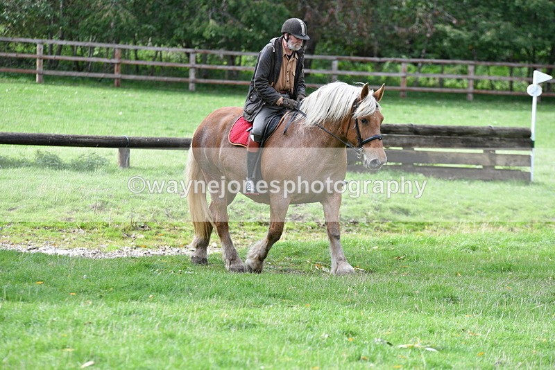 WJ5_9333 - Time 13:03 to 13:25