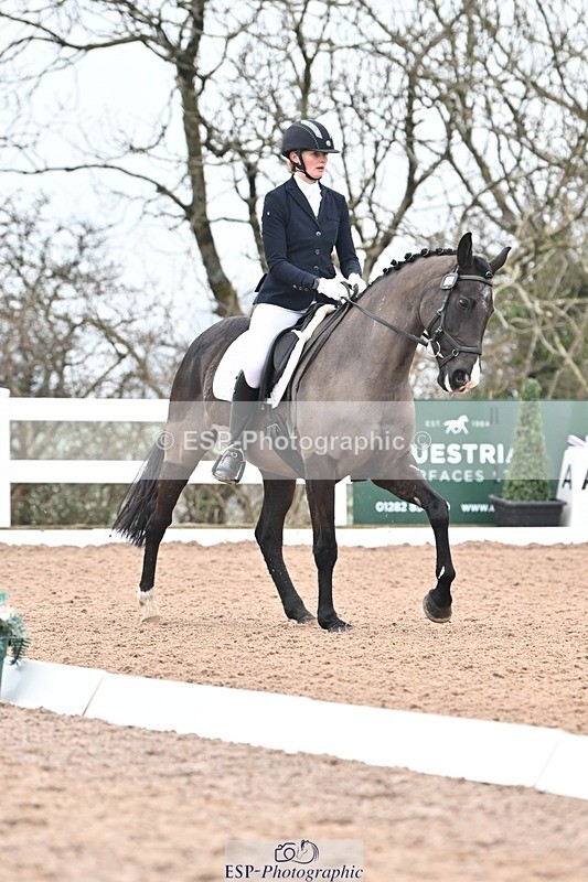 250216-100229-04537 - 120-saska.ingham-Fantasma